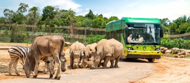 VinWonders & Vinpearl Safari à Phu Quoc VinWonders & Vinpearl Safari à Phu Quoc