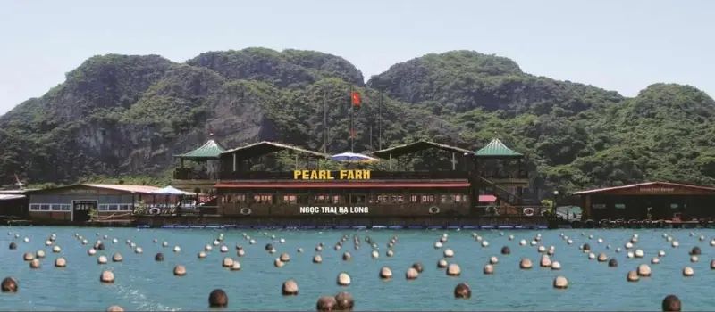 Visite dans une ferme de perles croisiere Halong Visite dans une ferme de perles croisiere Halong