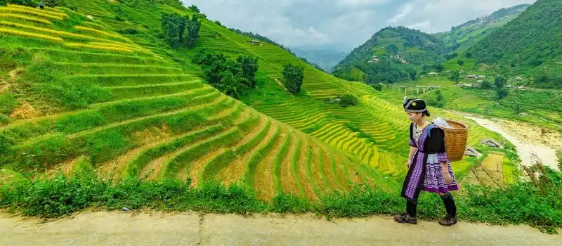 Visite découverte de Sapa Visite découverte de Sapa