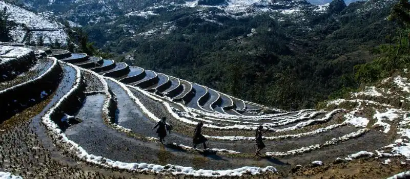 Visite Sapa en hiver Visite Sapa en hiver