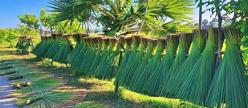 visitez-phu-my-le-village-traditionnel-du-tressage-du-jonc-au-vietnam2123 visitez-phu-my-le-village-traditionnel-du-tressage-du-jonc-au-vietnam2123
