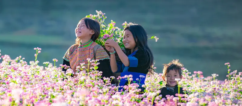 Voyage à Ha Giang en novembre Voyage à Ha Giang en novembre