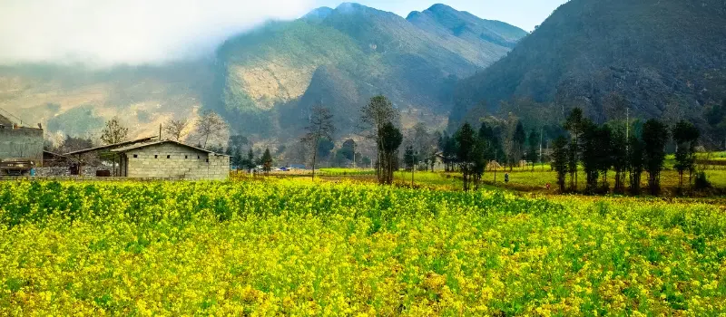 Voyage à Ha Giang Voyage à Ha Giang