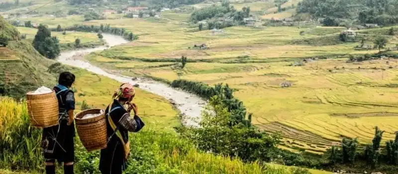 Voyage au Nord du Vietnam Voyage au Nord du Vietnam