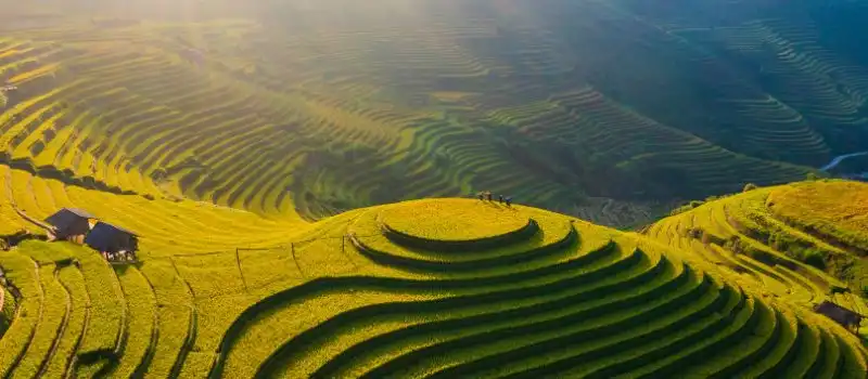 Voyage au Vietnam avec un petit budget Voyage au Vietnam avec un petit budget