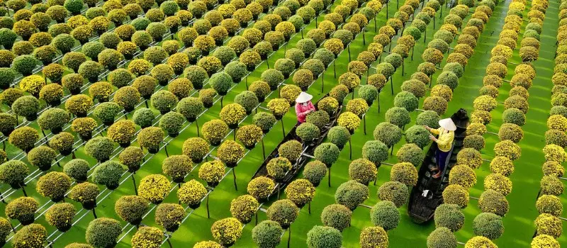 Voyage au Vietnam en 2026: Guide complet pour bien préparer votre séjour