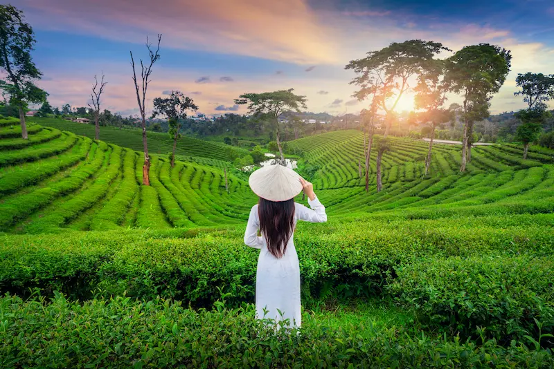 Voyage au Vietnam en autonomie ou avec une agence? Voyage au Vietnam en autonomie ou avec une agence?