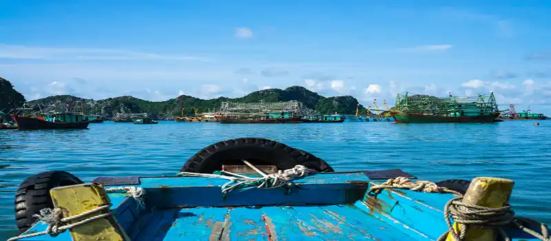 Voyage au Vietnam en famille Voyage au Vietnam en famille