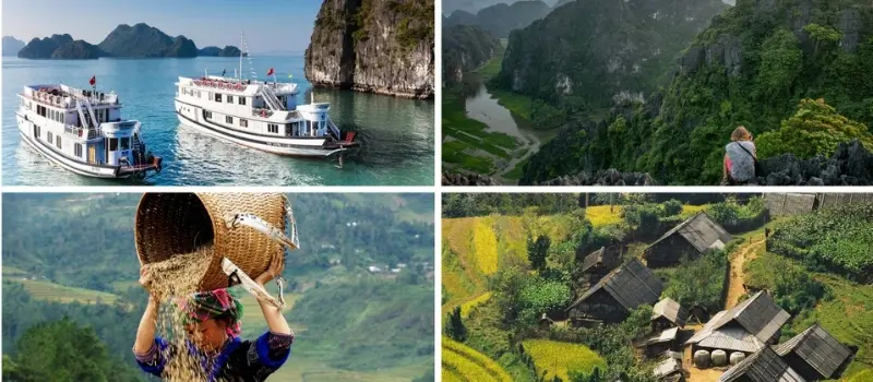 Voyage au Vietnam en février: 3 itinéraires prêts à emploi selon votre style Voyage au Vietnam en février: 3 itinéraires prêts à emploi selon votre style