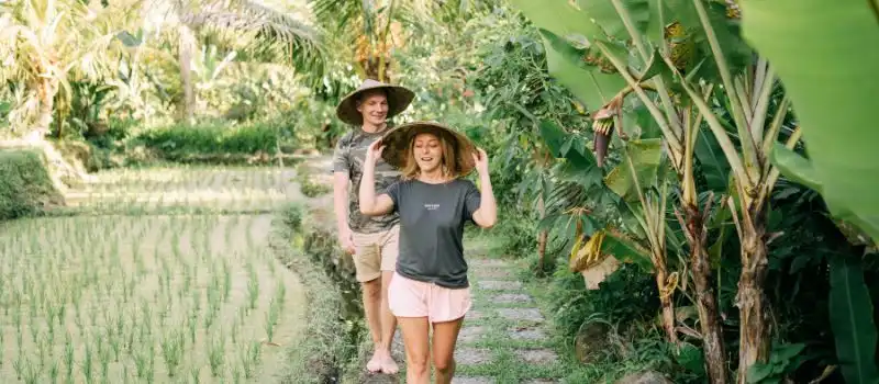 Voyage au Vietnam: organiser seul ou choisir une agence locale sur mesure? Voyage au Vietnam: organiser seul ou choisir une agence locale sur mesure?