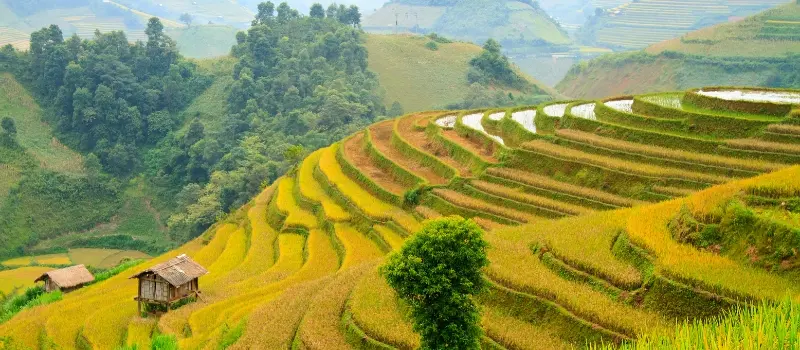 Voyage en petit groupe au Vietnam: pour qui, pourquoi, comment? Voyage en petit groupe au Vietnam: pour qui, pourquoi, comment?