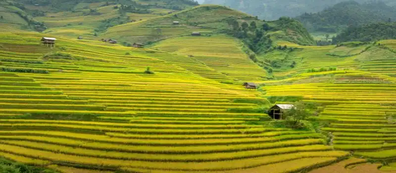 Voyage Sapa en une journée: programme sur mesure avec guide francophone et chauffeur Agence locale