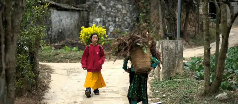 Voyage solo à Ha Giang Vietnam Voyage solo à Ha Giang Vietnam