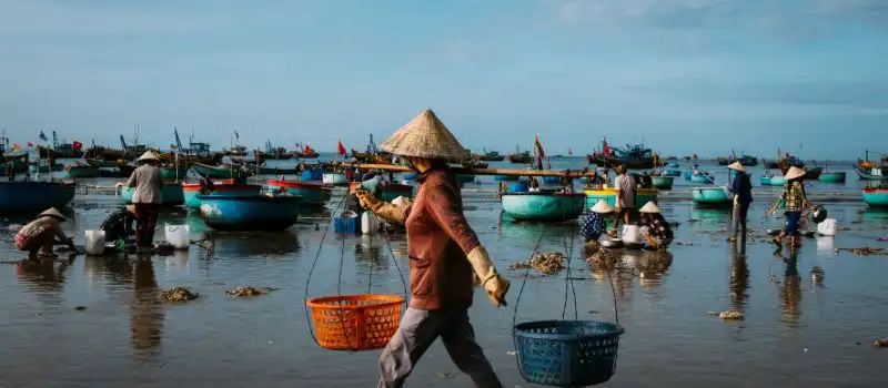 Voyager au Vietnam de manière plus responsable Voyager au Vietnam de manière plus responsable