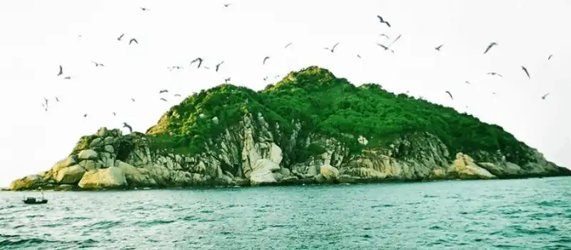 Île de Yen (Île de Salangane)